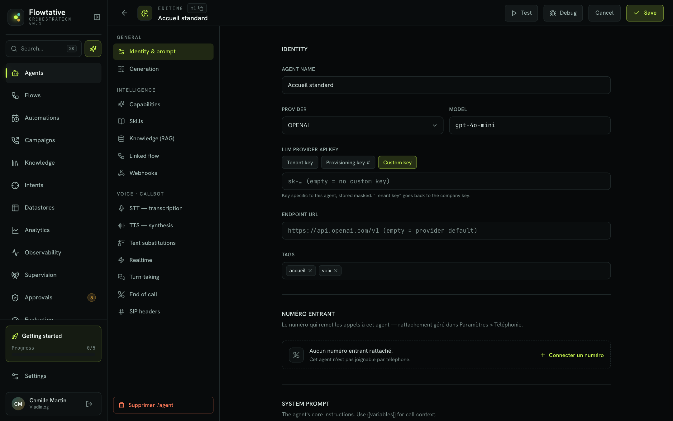 The agent editor, Identity & prompt section